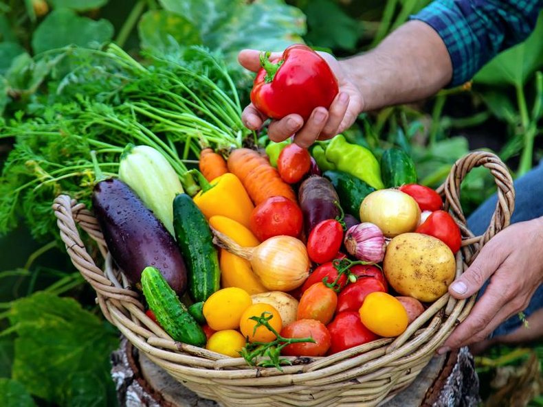 Slowfood-Konzept in der Küche des Pflegezentrums St. Elisabeth Senden
